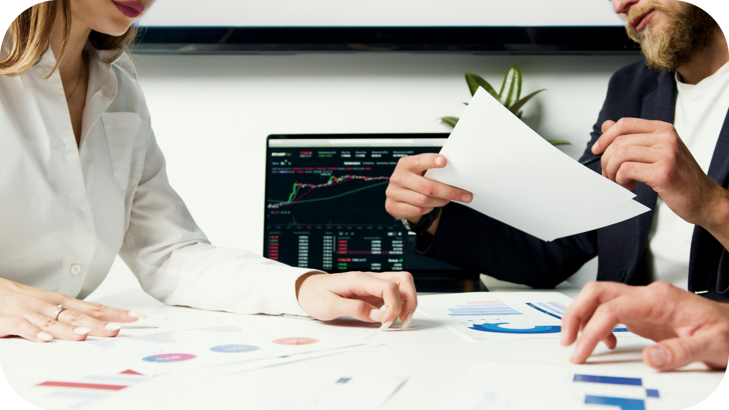 Loyalty Analytics